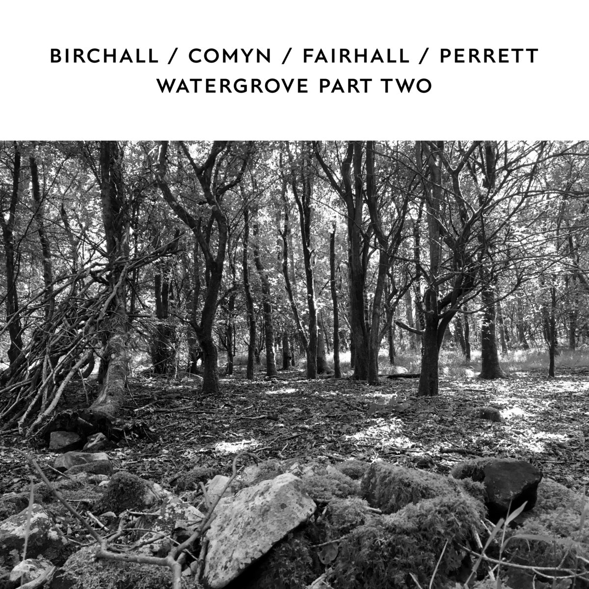 birchall comyn fairhall perrett watergove